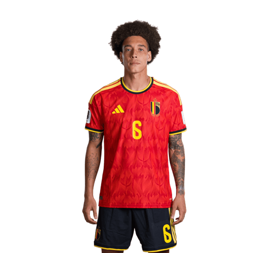 Axel WITSEL