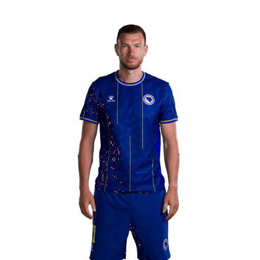 Edin DZEKO