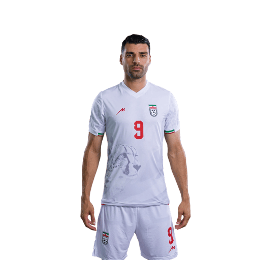 Mehdi TAREMI