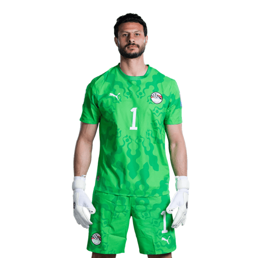 MOHAMED ELSHENAWY