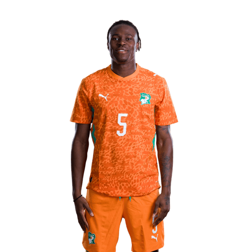 Wilfried SINGO