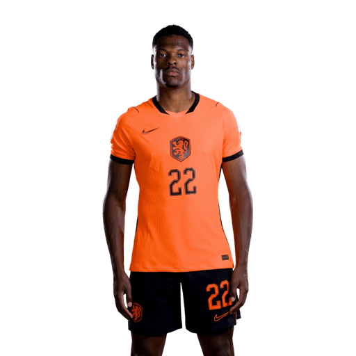 Denzel DUMFRIES