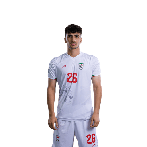 Amirmohammad RAZAGHINIA