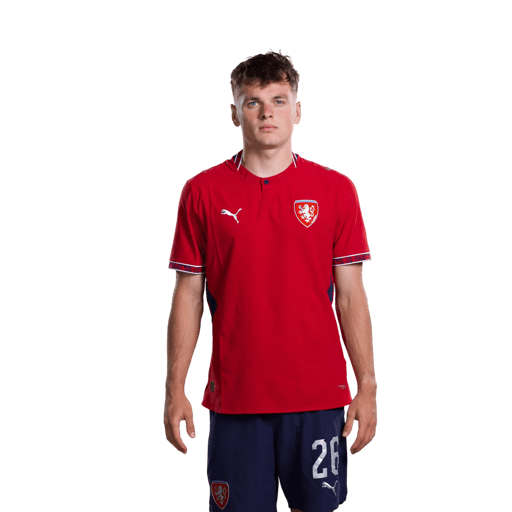 Denis VISINSKY